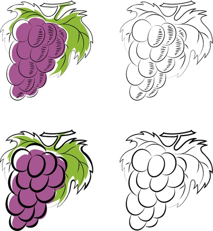 Grapesのイラスト素材