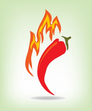 Red hot pepper , vector illustrationのイラスト素材