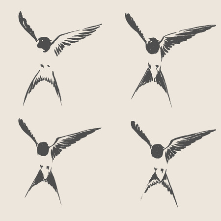 Hand drawn swallow vector illustration. Doodle shading style.のイラスト素材