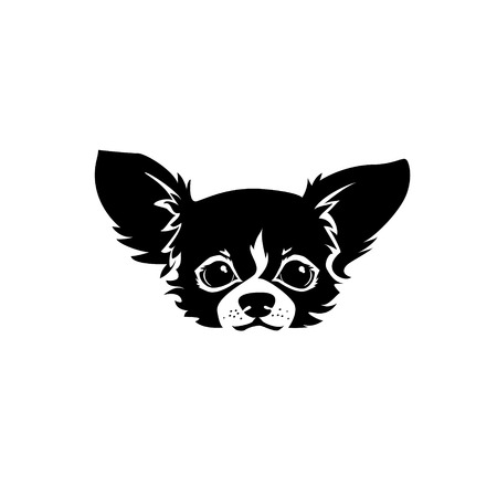 The head of chihuahua dog. Dog vector illustration.のイラスト素材