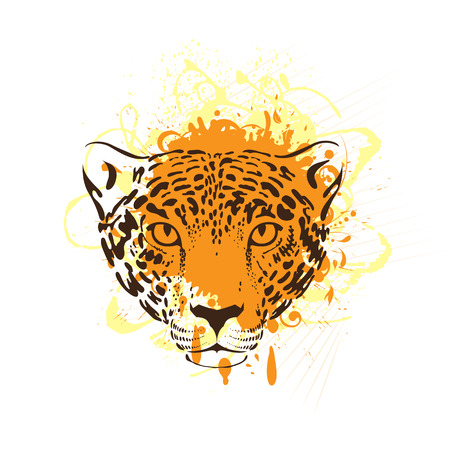 Leopard or jaguar. Stylized wild cat. Vector illustrationのイラスト素材