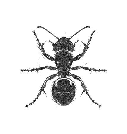 Ant in Old OverPrint Styleの写真素材