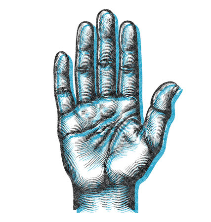 black and white vecktor line simple style logo style white backgroundの写真素材