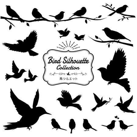 A collection of various bird silhouettes, flapping birdsのイラスト素材