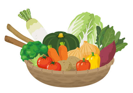 Many vegetables in the basketのイラスト素材