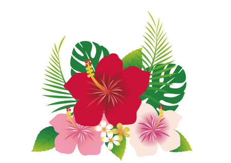 Hibiscus flower material (tropical summer image)のイラスト素材