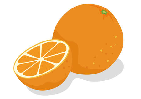 Illustration of fresh orange of fruitsのイラスト素材