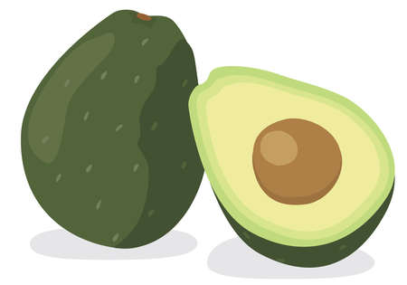 Illustration of fresh vegetables (Avocado)のイラスト素材