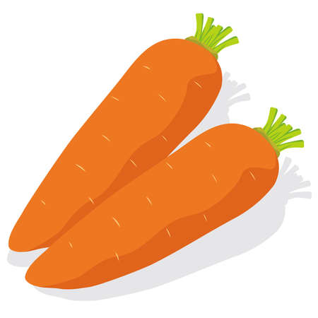 Illustration of fresh vegetables (carrot)のイラスト素材