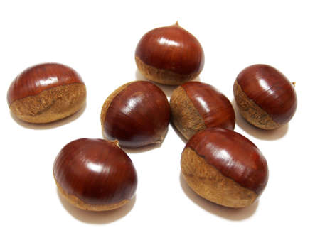 Raw chestnut (image photo of ingredients)の写真素材