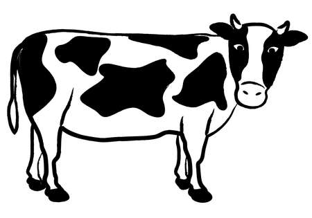 Hand-drawn cow illustration (Holstein)Brush writingのイラスト素材