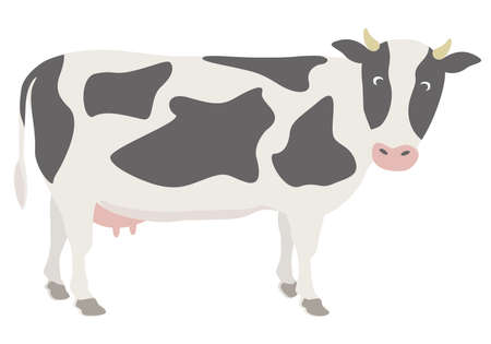 Hand-drawn Dairy cow illustration (Holstein)のイラスト素材