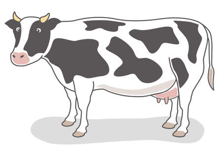 Hand-drawn Dairy cow illustration (Holstein)のイラスト素材