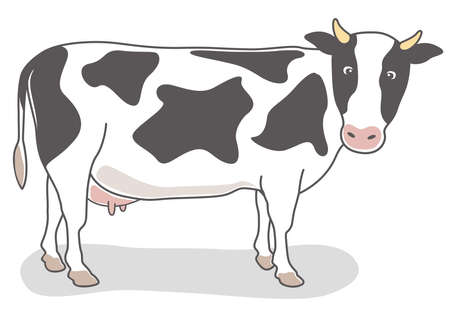 Hand-drawn Dairy cow illustration (Holstein)のイラスト素材
