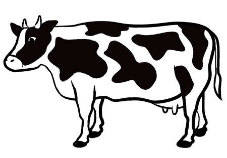Hand-drawn cow illustration (Holstein)Brush writingのイラスト素材
