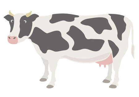 Hand-drawn Dairy cow illustration (Holstein)のイラスト素材