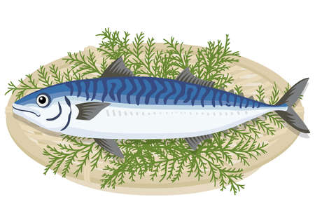 1 of mackerel heaped on a basketのイラスト素材