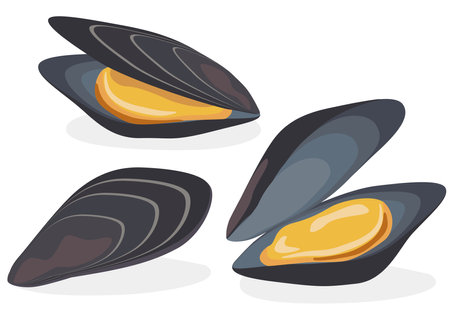 Illustration of shellfish (mussels) seafoodのイラスト素材