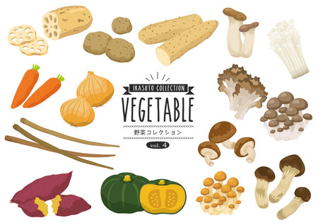 Vegetable Collection-04のイラスト素材