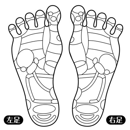 foot reflex area
Foot pot illustration _B (no letters)

There is a description of "right foot" and "left foot" in Japaneseのイラスト素材
