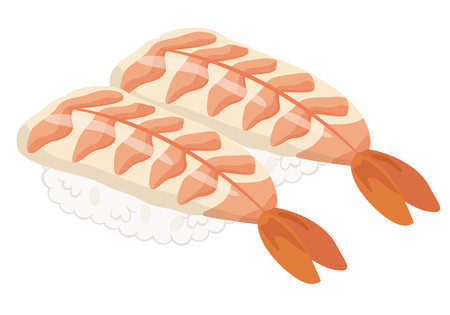 Sushi_Nigiri Sushi_Shrimpのイラスト素材