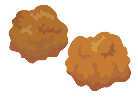 Fried food_fried chicken_chicken karaageのイラスト素材