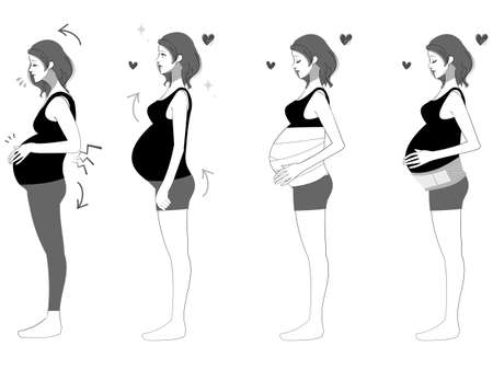 Profile illustration set of pregnant womenのイラスト素材