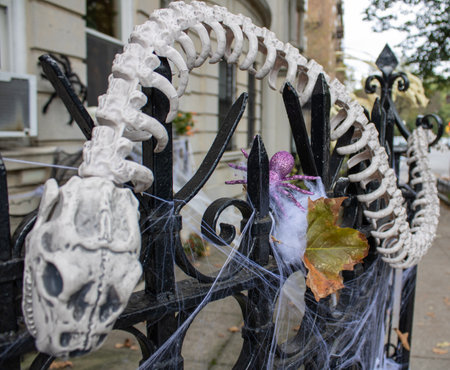 Halloween decorations on the streets of Brooklyn, usa.のeditorial素材