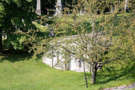 a cemetery trees and a sign at dayの写真素材