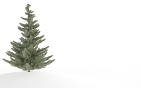 A 3d render of a lone evergreen tree in snow.の写真素材