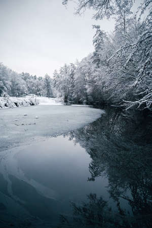 Frozen and cold stream (river) in forest with snowy trees in winter. Vertical photo of frozen river - romantic, idyllic and tranquil landscape.の写真素材