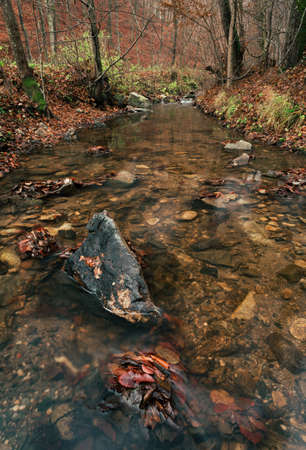 Beautiful stream (creek) with stones and orange leafs on foreground in dark and moody forest - autumn time. Small river in deep forest streaming throught the valley - without folliage.の写真素材