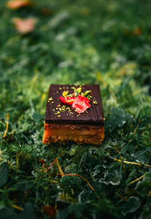 Beautiful and tasty caramel cake with dark chocolate and strawberry on the top. Seasonal (christmas...