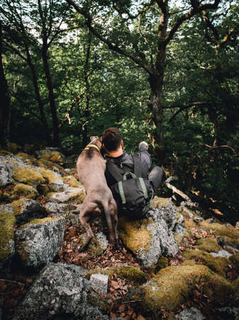 Giant boulders and rocks covered by yellow - green moss with trees on background. Adventurer (man) with his dog sitting on the stones with moss in forest. Male hiker with his pet in nature.の写真素材