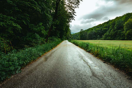 Photo of straight road (way) after rain with meadow and forest on background. Beautiful scene of forest road with perfect greenery - dark photo. Tranquil way in the middle of Slovak forest in Europe.の写真素材