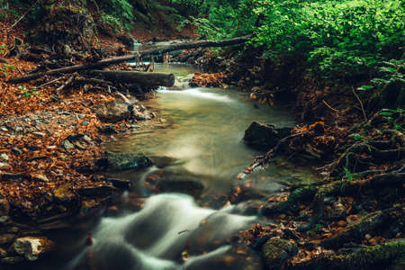 Beautiful cascaded stream (creek) with stones on foreground in dark and moody forest. Small river in deep forest streaming throught the valley - vertical photo.の写真素材
