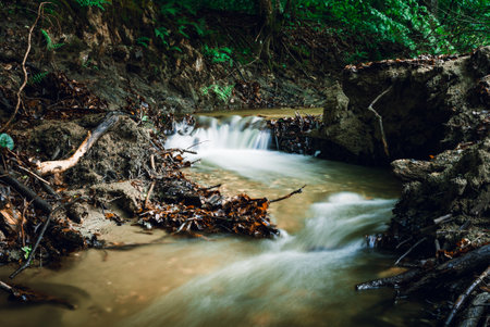 Beautiful cascaded stream (creek) with stones on foreground in dark and moody forest. Small river in deep forest streaming throught the valley - vertical photo.の写真素材