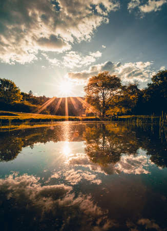 Dramatic sunset over the beautiful crystal blue lake (pond) with green tree and meadow on background. Moody shot of tree in the park in springtime with water reflection in the lake (river).の写真素材