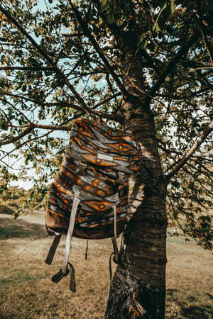 Adveture and travel backpack hanging on tree branch with park and forest on background. Vertical photo of travelerの写真素材