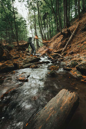 Beautiful cascaded stream (creek) with woods on foreground in dark and moody forest. Small river in deep forest streaming throught the valley - vertical photo.の写真素材