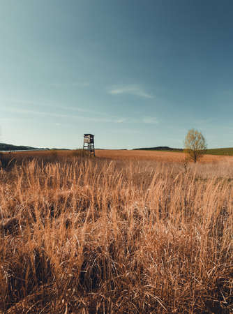 Vertical photo - lookout tower for hunting in the middle of dry field (meadow) with blue sky on background. Huting - observation point in wildness with green tree on background.の写真素材