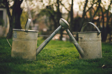 Illuminated Close up photo of vintage two Watering cans in green grass in garden on sunset. Rural...