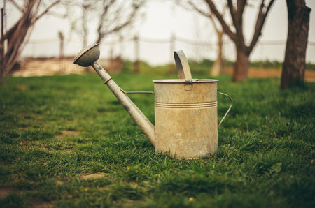 Close up photo of vintage Watering can in green grass in garden on sunset. Rural and old watering can in spring time ready to pouring flowers and plants on field.の写真素材