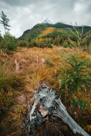 Beautiful autumn landscape - colorful forest and huge mountain peak covered by snow on background. Cloudy sky and snowy mountain peak in natural landscape scenery in fall.の写真素材