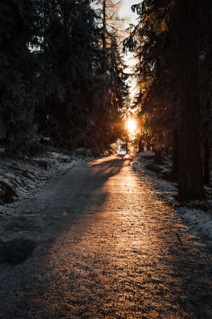 Golden sunrise in winter forest - snowy road. Vertical photo of way in the mountains with beautiful...