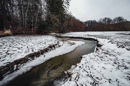 Muddy and snow covered cracked ground (earth) with forest stream in winter. Wide angle photo of snowy and dirty river in forest - enviromental and climatic concept.の写真素材