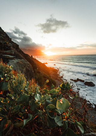 Beautiful view of spring nature and cliff along North Tenerife coast at sunset. Atlantic wavy ocean with colorful flowers on foreground in Canary Islandsの写真素材