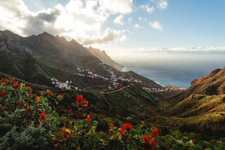 Beautiful view of spring nature and village along North Tenerife coast at sunset. Cloudy sky with sunrays with colorful flowers on foreground in Canary Islandsの写真素材