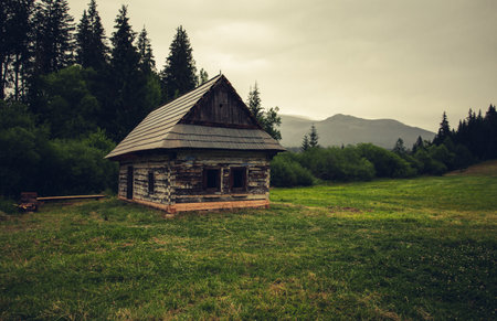 Old and weathered hut - chamkova stodol under the Kralova Hola mountain in rainy day. Old cabin in the green forest meadow with mountains on background - Slovakia, Europe.の写真素材