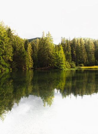 Beautiful scenic view of Blajzloch lake in Slovakia (Europe). Beautiful and peaceful green lake with crystal clear water on white background. Golden hour in forest pond.の写真素材